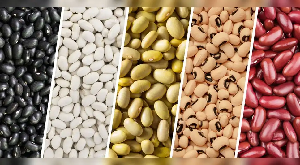 Variedades de frejoles