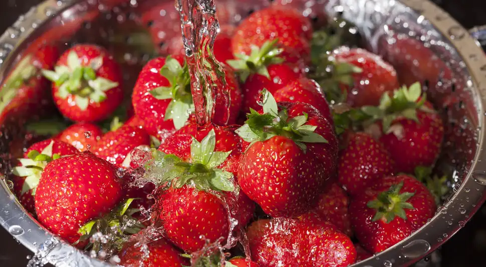 lavando fresas