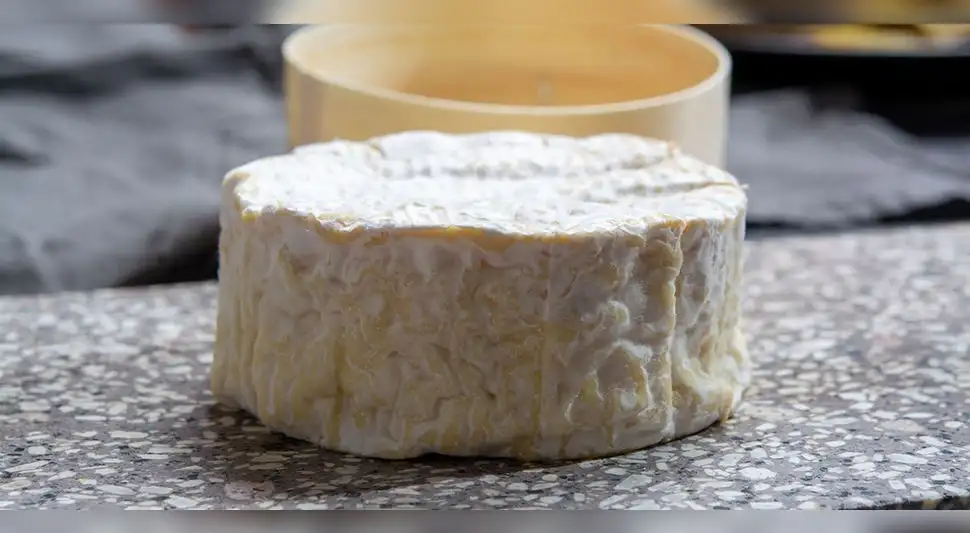 queso hecho con leche cruda queso hecho con leche cruda