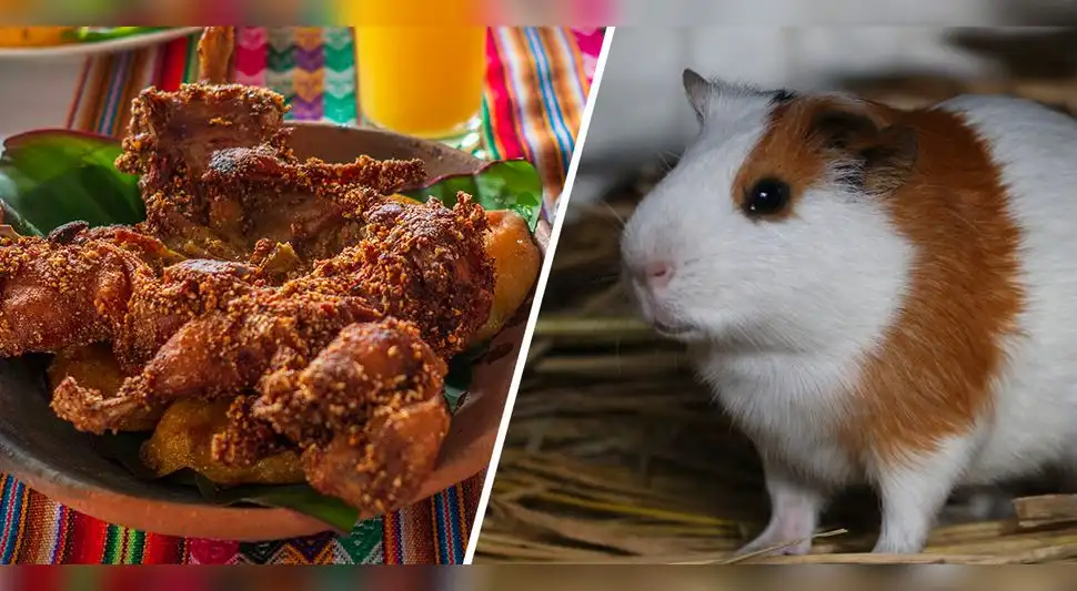 Cuy chactado y cuy Cuy chactado y cuy