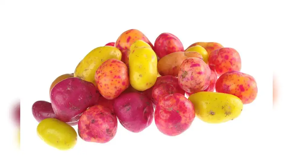 variedades de olluco variedades de olluco