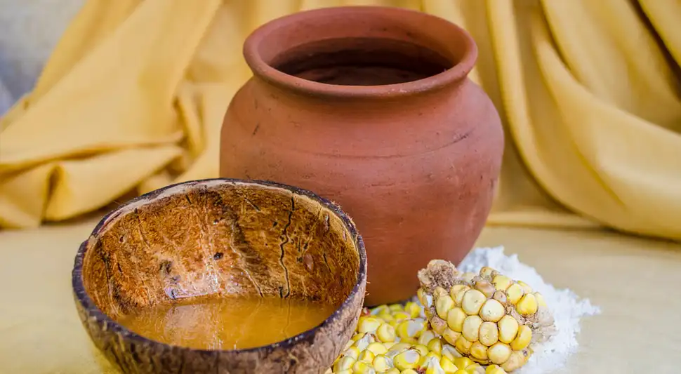 Chicha de jora y maíz jora