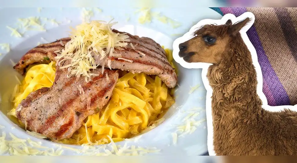 Lomo de alpaca y fideos con huancaína / Alpaca