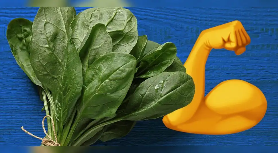 Espinaca y sus beneficios