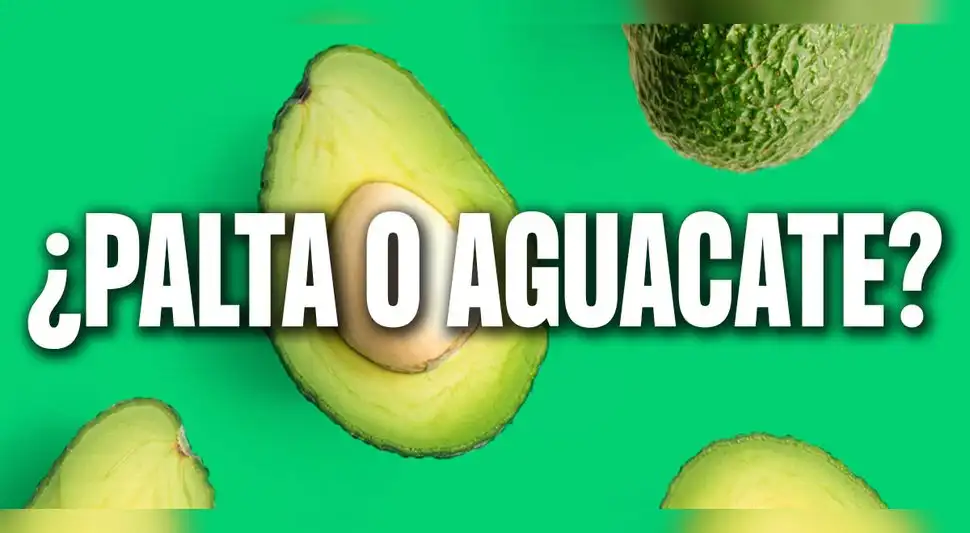 Palta o aguacate Palta o aguacate