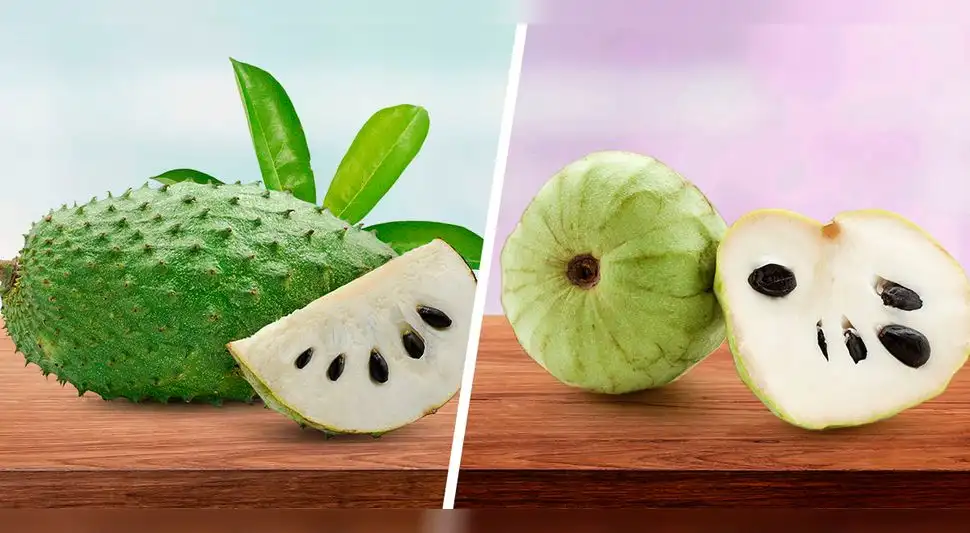 guanábana y chirimoya