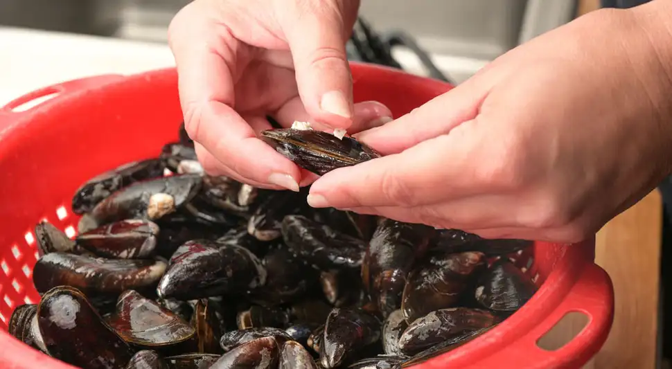 Choros: limpieza y selección (mejillones) Choros: limpieza y selección (mejillones)