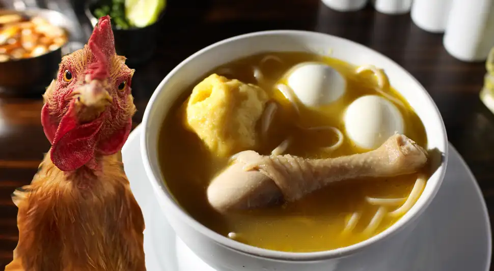 caldo de gallina caldo de gallina