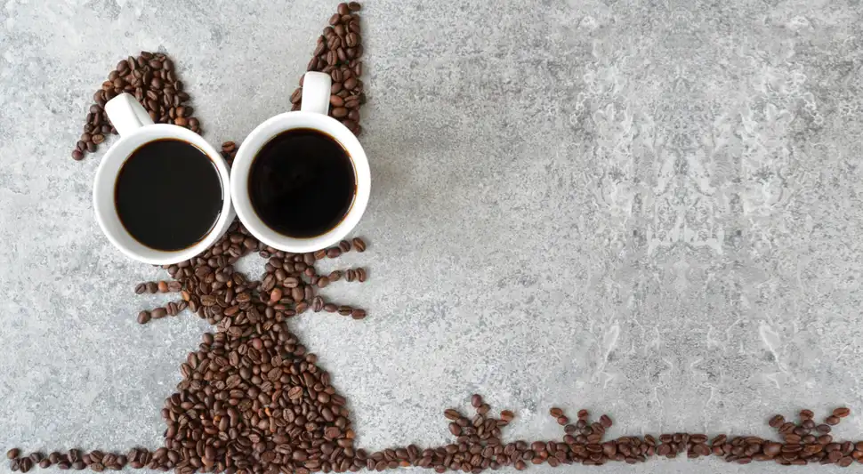 cafe y niños cafe y niños