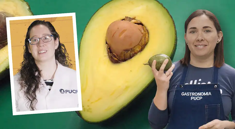 Maduración de la palta Maduración de la palta