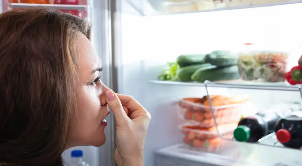 Malos olores de la refrigeradora