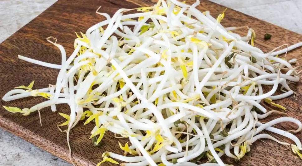 frijol chino beneficios y recetas