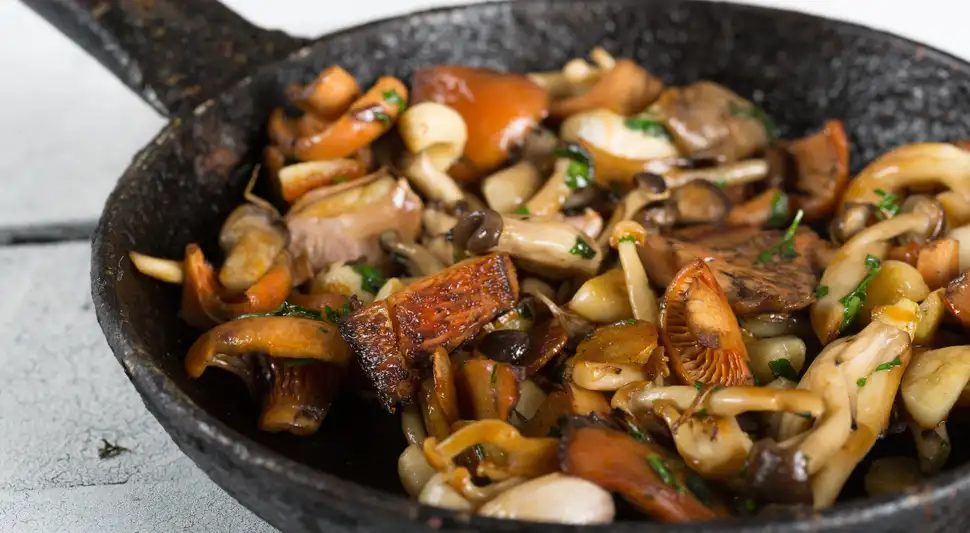 Guarnición de hongos Guarnición de hongos