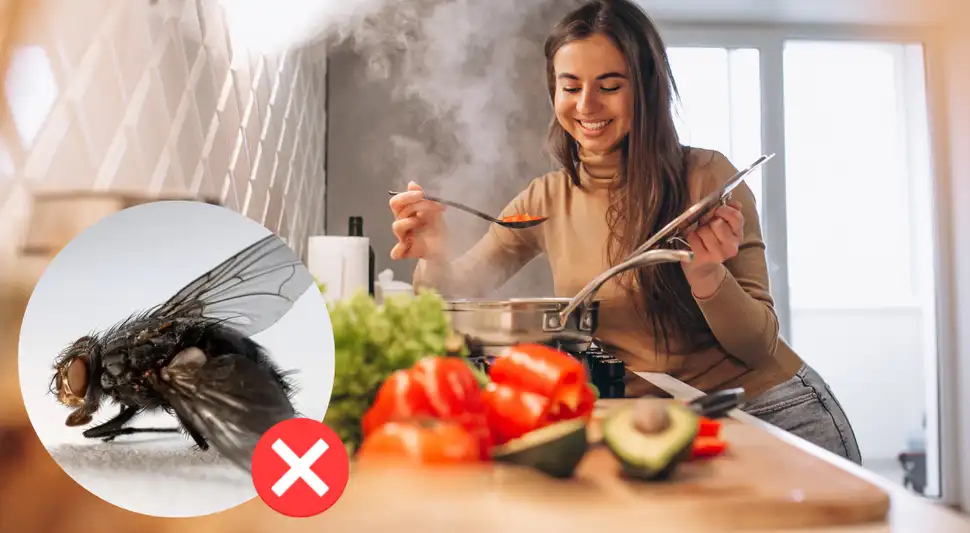 El secreto para eliminar las moscas de tu cocina
