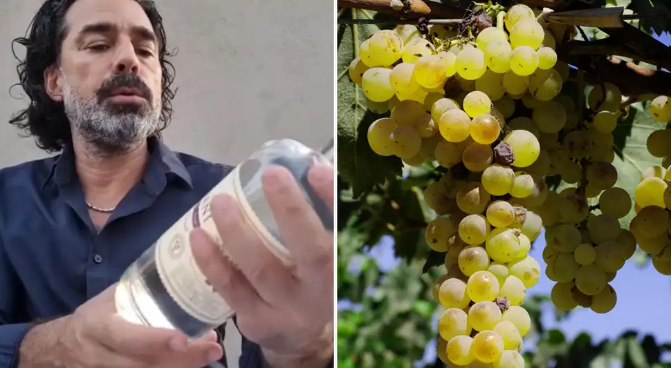 Influencer de cata argentino recomienda pisco peruano: “Está muy bueno” Influencer de cata argentino recomienda pisco peruano: “Está muy bueno”