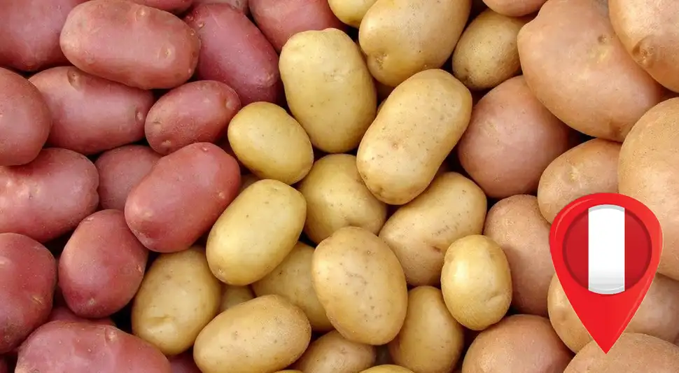 Día Nacional de la Papa en Perú Día Nacional de la Papa en Perú