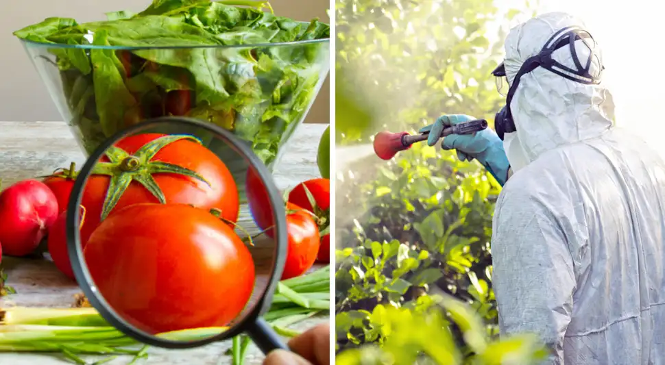 ¿Cómo eliminar los pesticidas de frutas y verduras?