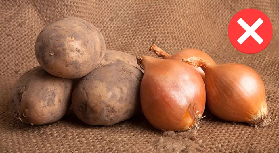 Por qué NO debes guardar las cebollas y las papas juntas