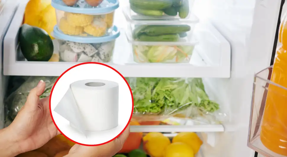 ¿Por qué debes dejar un rollo de papel dentro del refrigerador?