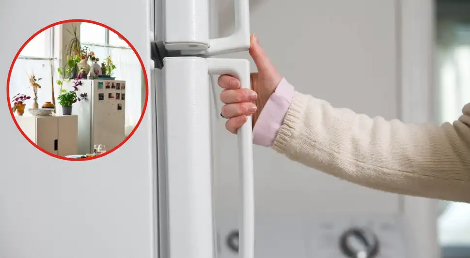 ¿Por qué nunca debes dejar cosas encima de tu refrigerador?