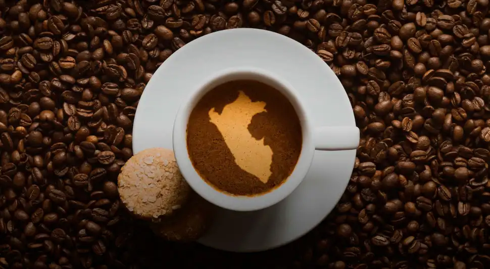 DÍA DEL CAFÉ PERUANO: ESTA ES LA HISTORIA DE ÉXITO DEL CAFÉ PERUANO DÍA DEL CAFÉ PERUANO: ESTA ES LA HISTORIA DE ÉXITO DEL CAFÉ PERUANO