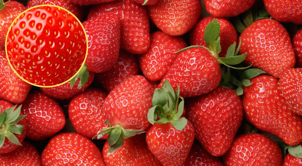 Esto es lo que esconden los puntitos amarillos de las fresas: no son semillas Esto es lo que esconden los puntitos amarillos de las fresas: no son semillas