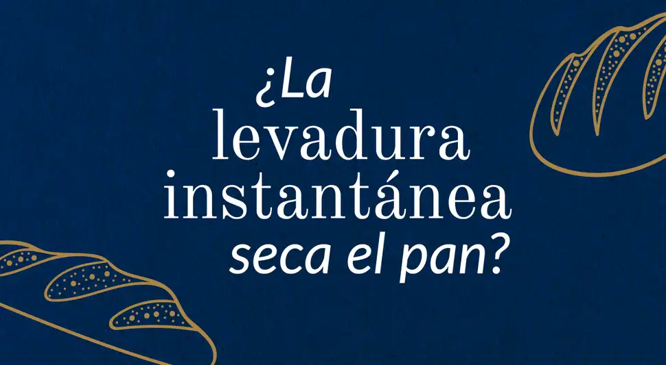 ¿La levadura seca el pan? ¿La levadura seca el pan?