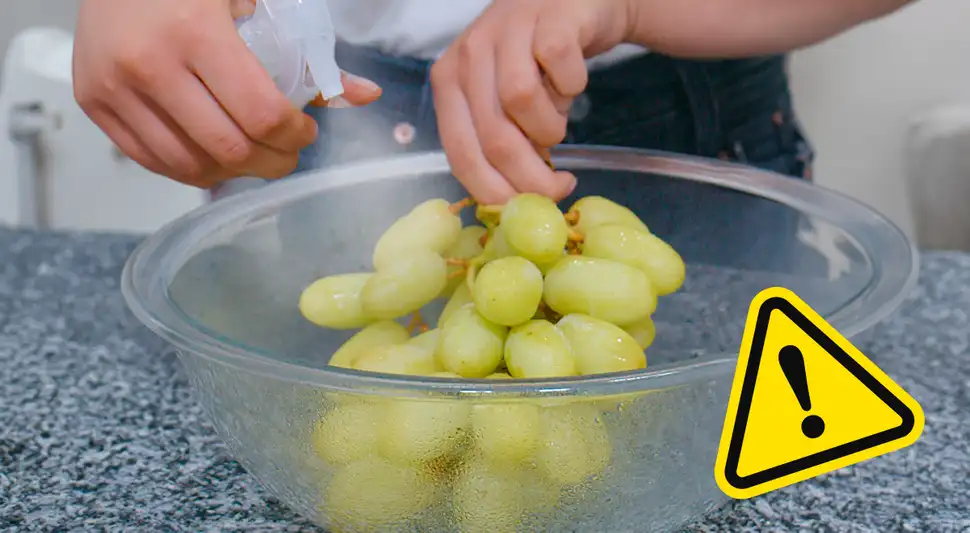 Así se desinfectan correctamente las uvas para Año Nuevo Así se desinfectan correctamente las uvas para Año Nuevo