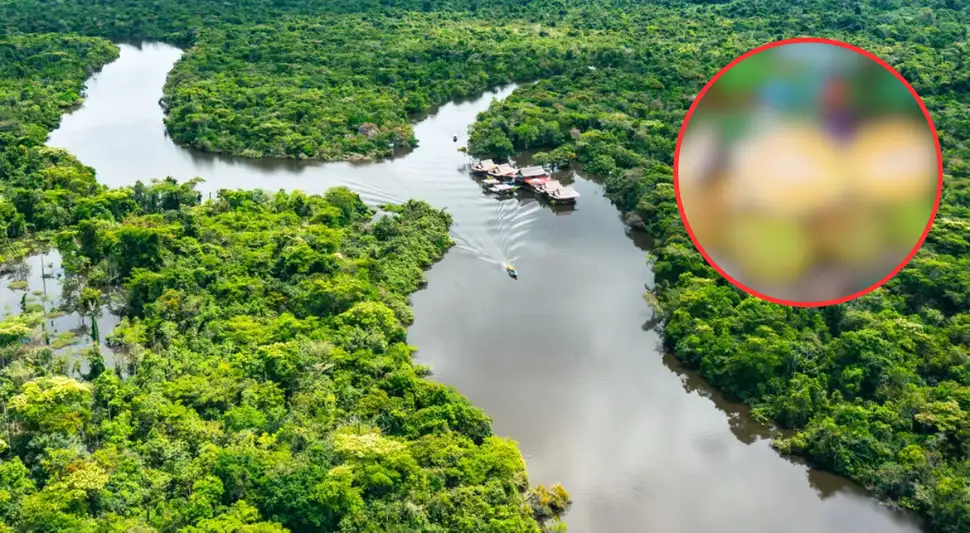 Es la fruta más grande del mundo, se cultiva en la Amazonía peruana y tiene 7 sabores