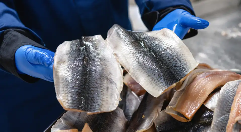 ¿Es malo o bueno comer la piel del pescado? ¿Es malo o bueno comer la piel del pescado?