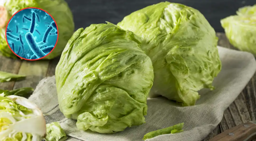 Cómo conservar la lechuga correctamente para evitar las bacterias