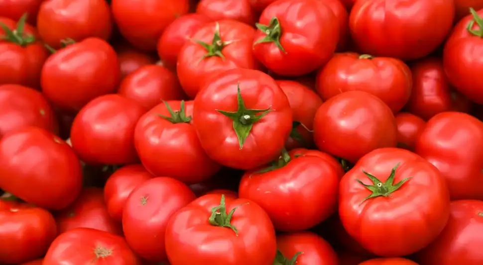 ¿El tomate es una fruta o una verdura?