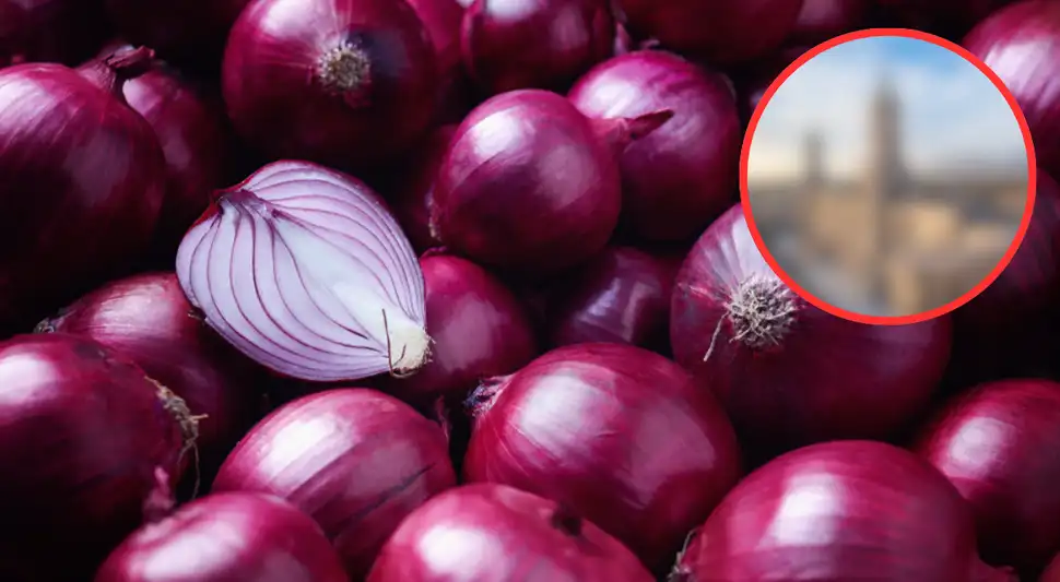 ¿Dónde se producen las mejores cebollas del Perú?