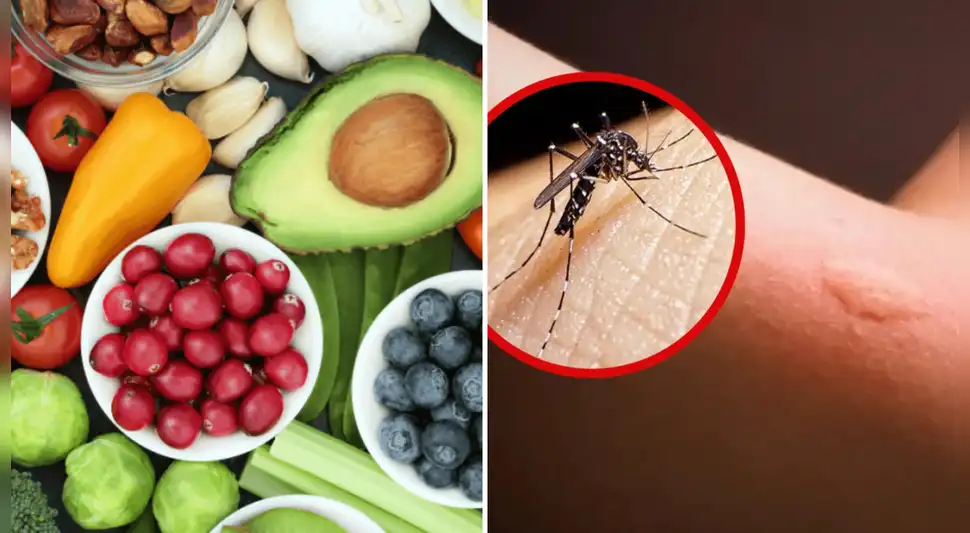 Dengue: ¿Existen alimentos para prevenir picadura del zancudo que lo transmite? Dengue: ¿Existen alimentos para prevenir picadura del zancudo que lo transmite?