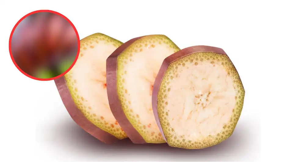 Una variedad de plátano que era desconocida hasta hace poco y hoy sorprende Una variedad de plátano que era desconocida hasta hace poco y hoy sorprende