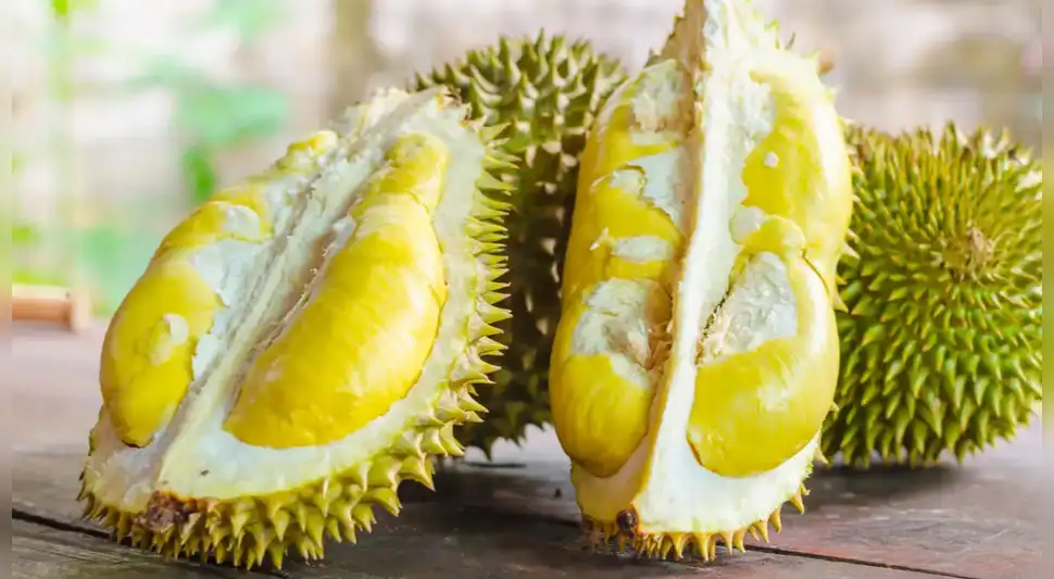 Conoce el durian: la fruta dulce más apestosa del mundo Conoce el durian: la fruta dulce más apestosa del mundo