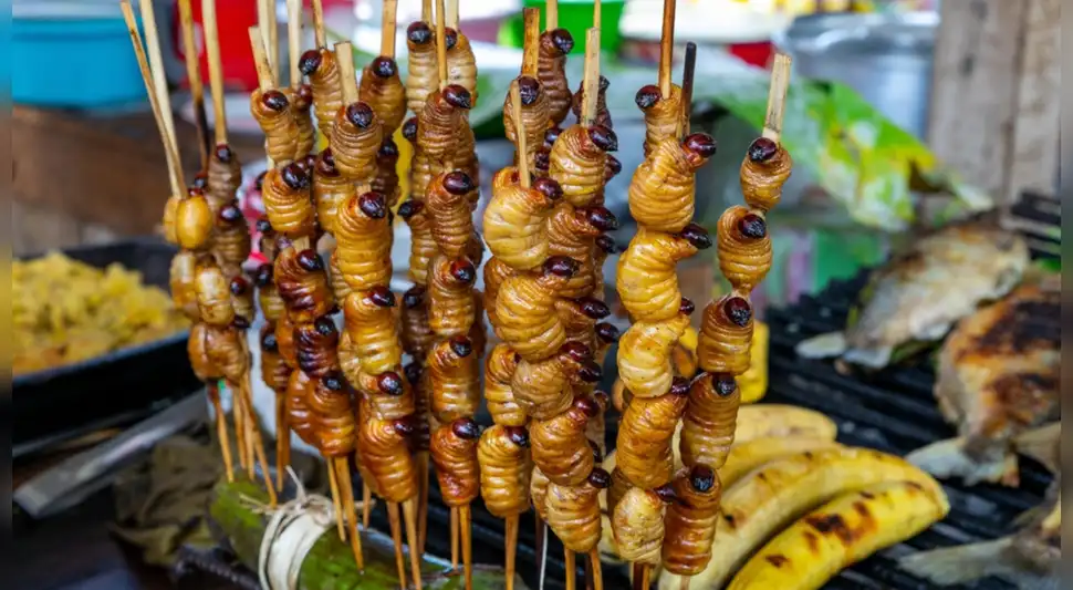 5 animales exóticos que se usan en la cocina Amazónica