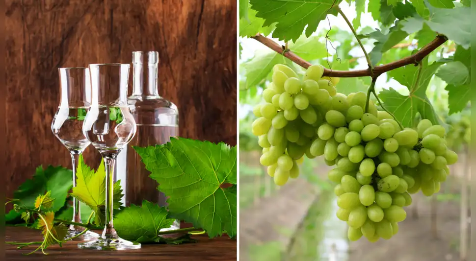 Día del pisco: 7 bebidas para preparar con este licor peruano Día del pisco: 7 bebidas para preparar con este licor peruano