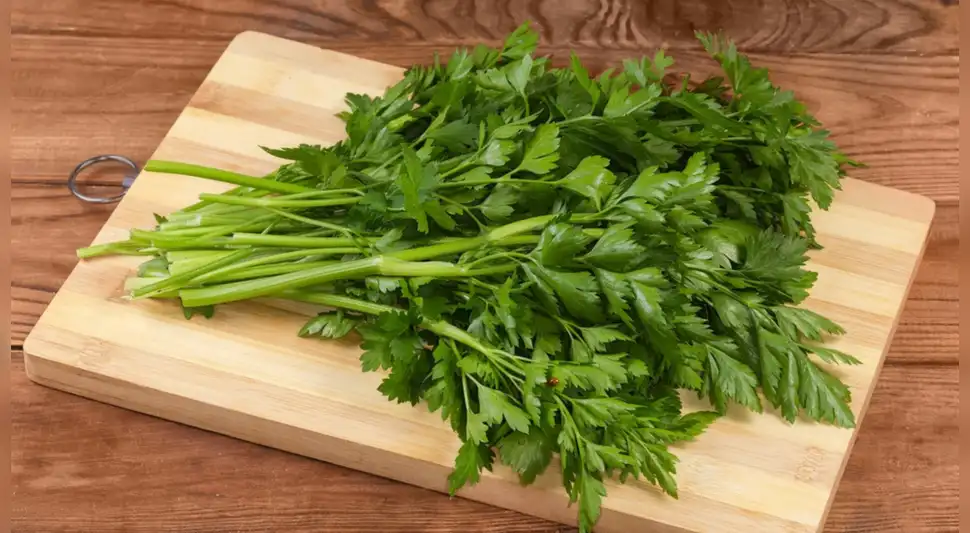 Cómo conservar el perejil fresco por más tiempo