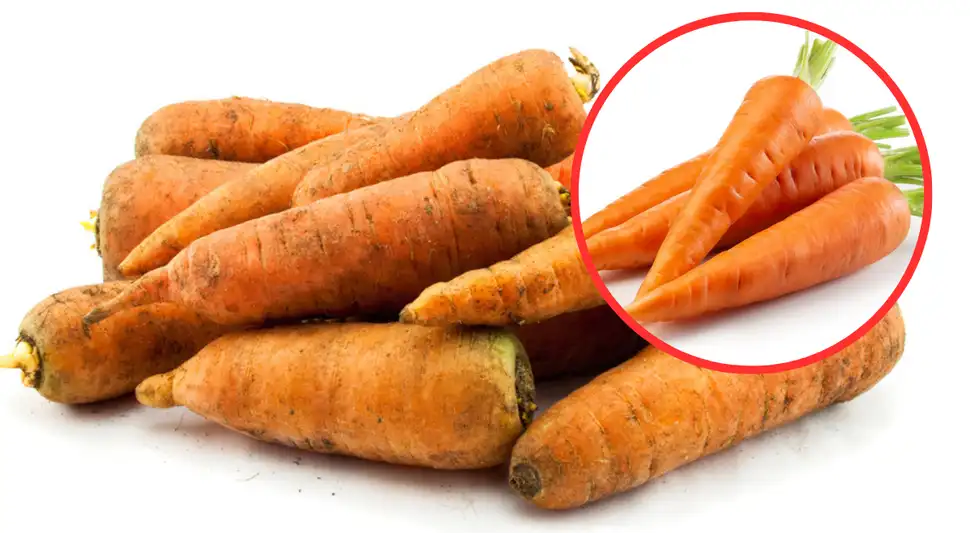 Conoce el truco para endurecer las zanahorias blandas