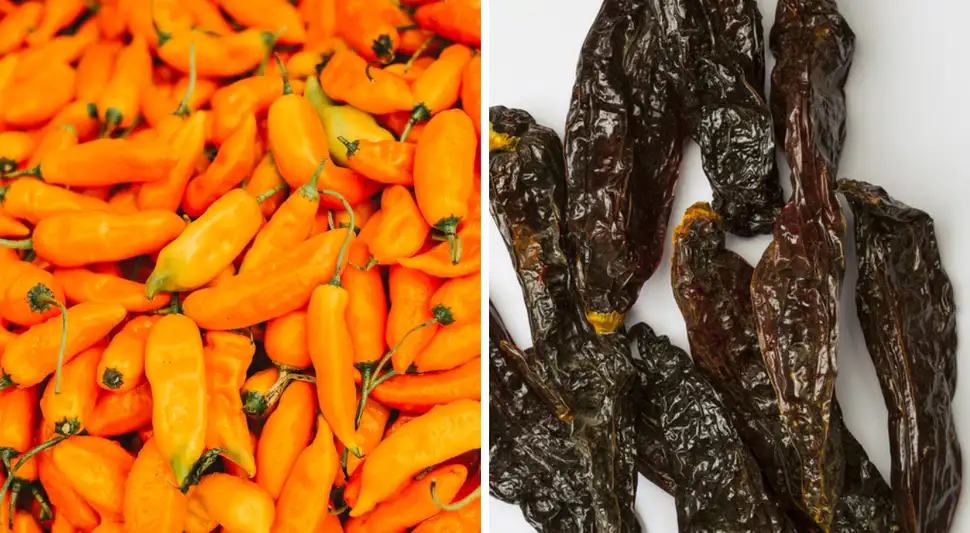 Europa: Cómo reemplazar el ají amarillo y el ají panca peruanos