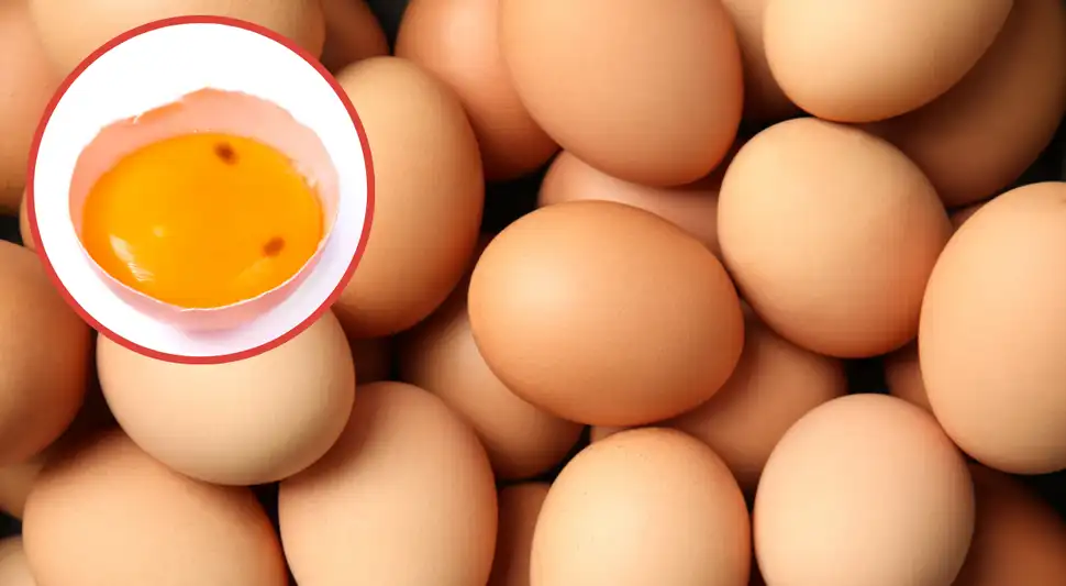 Manchas marrones en el huevo: ¿Es seguro comerlo?