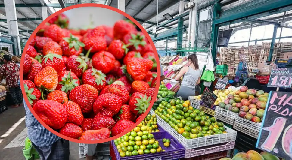 Alerta: Fresas contaminadas en los mercados de Lima y Callao, ¿qué hacer? Alerta: Fresas contaminadas en los mercados de Lima y Callao, ¿qué hacer?