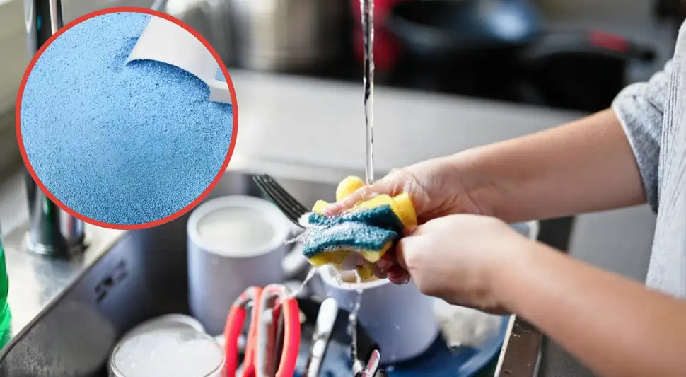 Por qué no es recomendable usar el detergente para lavar los platos en la esponja de cocina Por qué no es recomendable usar el detergente para lavar los platos en la esponja de cocina