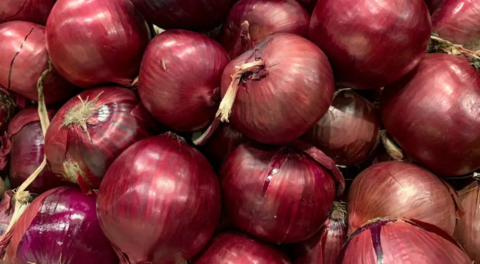 Cómo se puede conservar la cebolla fresca por meses