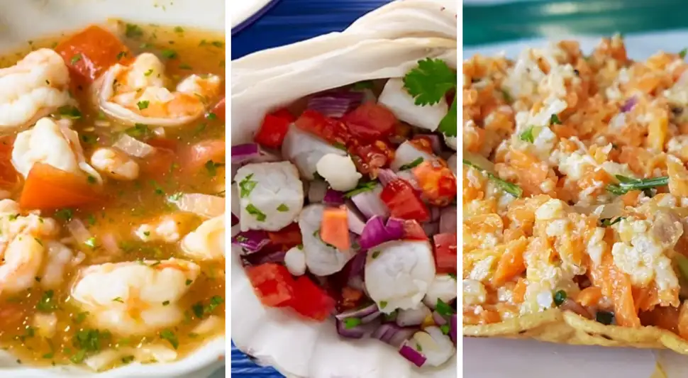 No solo es Perú, conoce los países que tienen los mejores ceviches del mundo, según famosa guía gastronómica