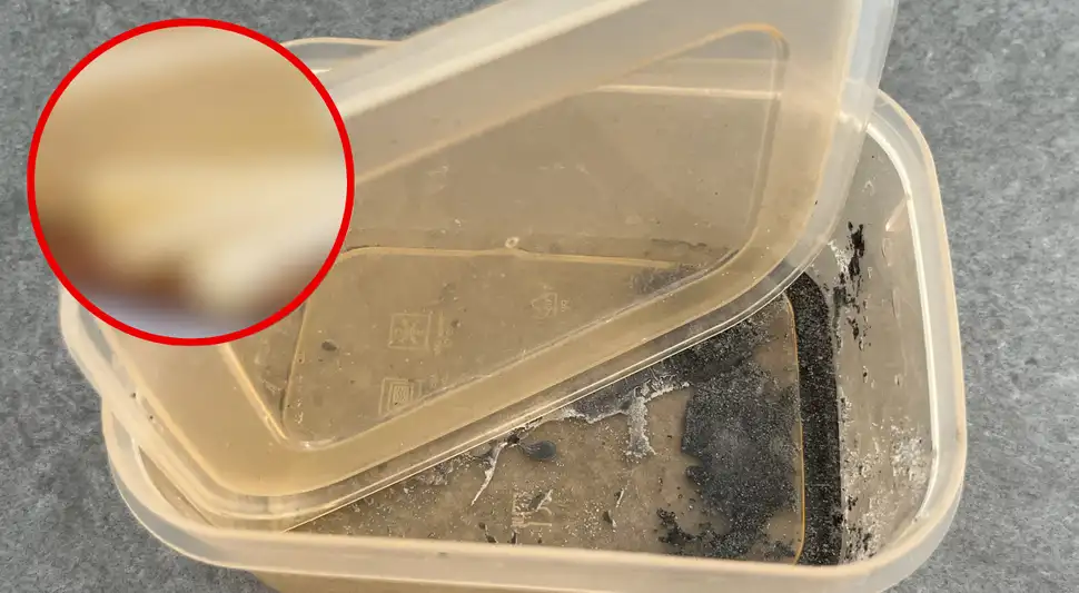 Guardar este alimento en un táper aumenta el riesgo de infecciones estomacales o intoxicación. Foto: Buenazo / Shutterstock