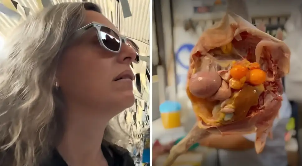 Chilena se sorprende y expresa su tristeza al presenciar la venta de pollos en mercados limeños. Foto: Buenazo / Youtube Chilena se sorprende y expresa su tristeza al presenciar la venta de pollos en mercados limeños. Foto: Buenazo / Youtube