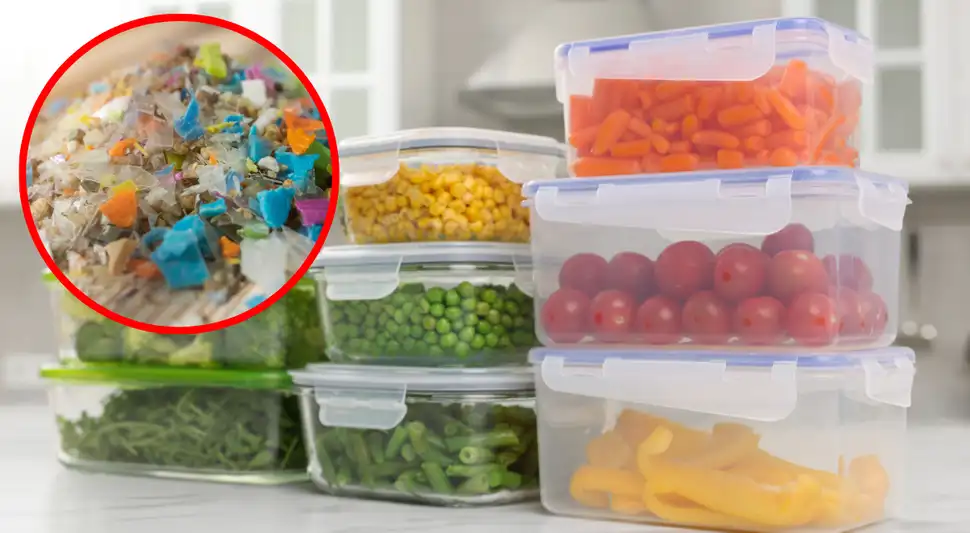 Los tuppers pueden desprender partículas de plástico que se adhieren a los alimentos y ser tóxicos para la salud. Foto: Buenazo / Shutterstock