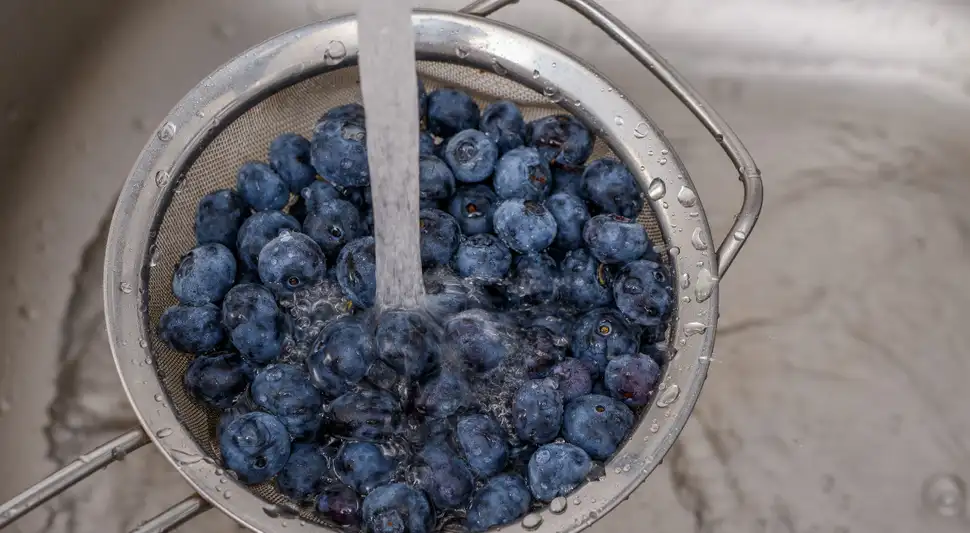 Conoce la forma más fácil de lavar y desinfectar los alimentos en simples pasos. Foto: Buenazo / Shutterstock